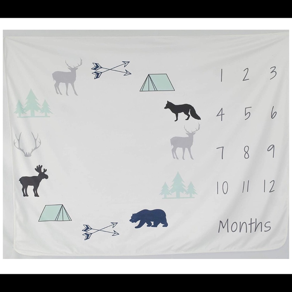 Boy Milestone Blanket